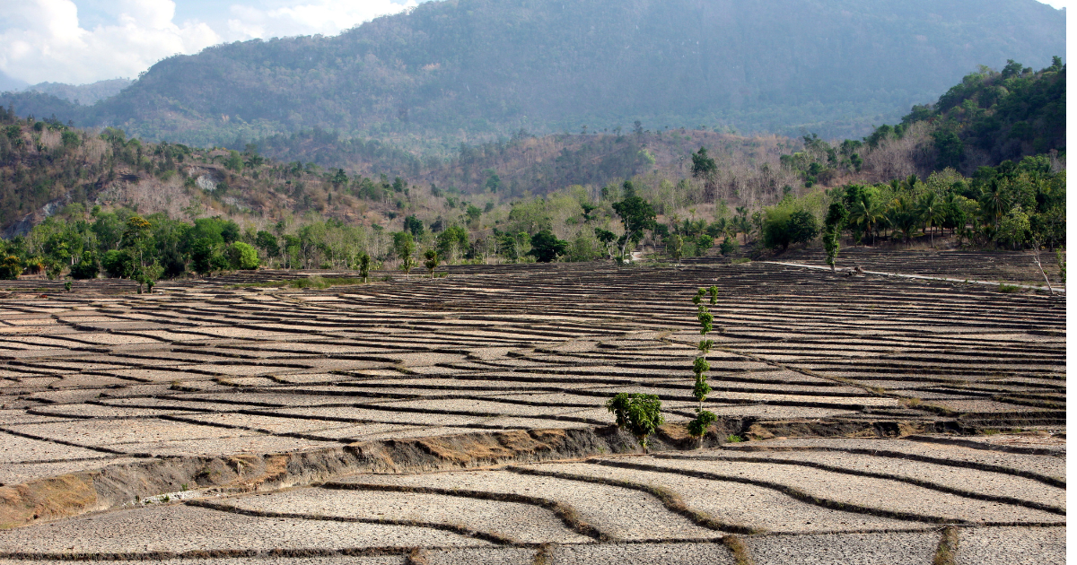 The project aims to strengthen communities and farmer groups through localized and disaster-resilient planning.