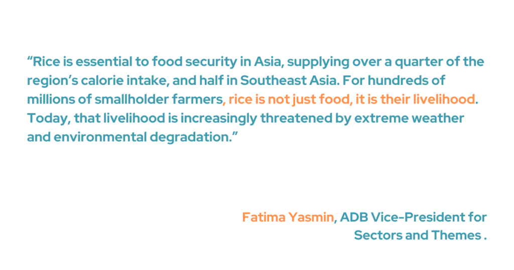 ADB Vice-President for Sectors and Themes Fatima Yasmin affirmed how essential rice is to food security in Asia, as it is the source of more than a quarter of the region's caloric intake and 50% in Southeast Asia. "For hundreds of millions of smallholder farmers, rice is not just food; it is their livelihood. Today, that livelihood is increasingly threatened by extreme weather and environmental degradation,” she added.